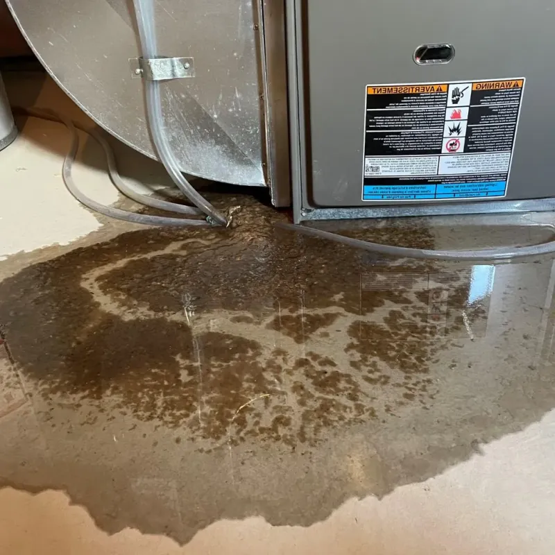 Pipe Burst and Leak Restoration in Bingham Farms, MI